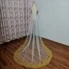 Golden charming sequin lace veil shining 2023 new cathedral wedding accessories bride with hair comb head veil
