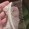 Ivory White Bridal veil Wedding Veil Fingertip Length veils Lace Bridal Veils with Comb Wedding Accessories WED VEIL LACE VEIL