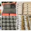1Pcs 100% New  ISP1521BEUMTR TQFP-80 ISP1521BEUM TQFP80 ISP1521BE ISP1521 1521  Original Chip